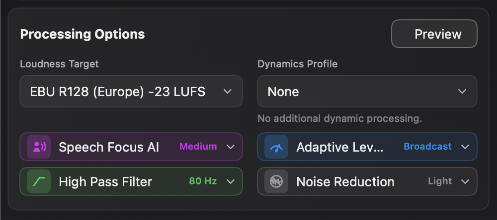 Current processing controls with loudness target, dynamics profile, Speech Focus AI, Adaptive Leveler, High Pass Filter and Noise Reduction levels